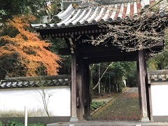 b0400731_17292125.jpg