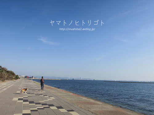 おいしいお寿司_e0394031_06160131.jpg
