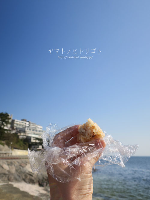 おいしいお寿司_e0394031_06161628.jpg
