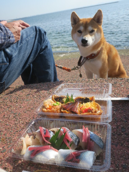 おいしいお寿司_e0394031_06162561.jpg