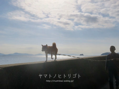 おいしいお寿司_e0394031_06162858.jpg