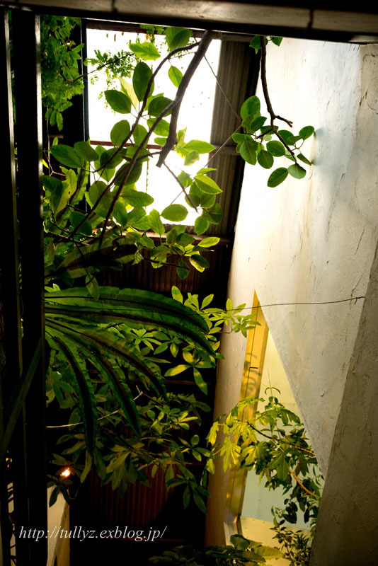 d0108132_23561254.jpg