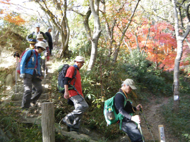 e0371039_15252563.gif