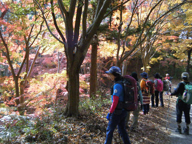 e0371039_15262949.gif