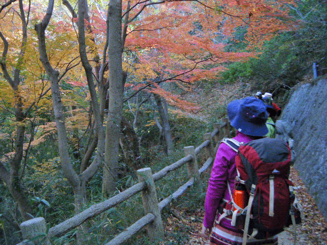e0371039_15282585.gif