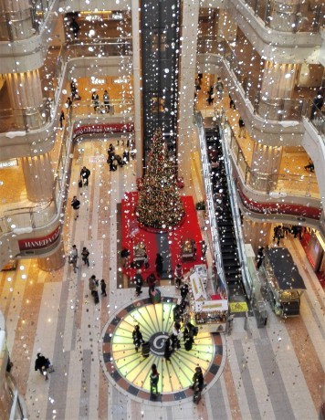 a0248540_16291399.jpg