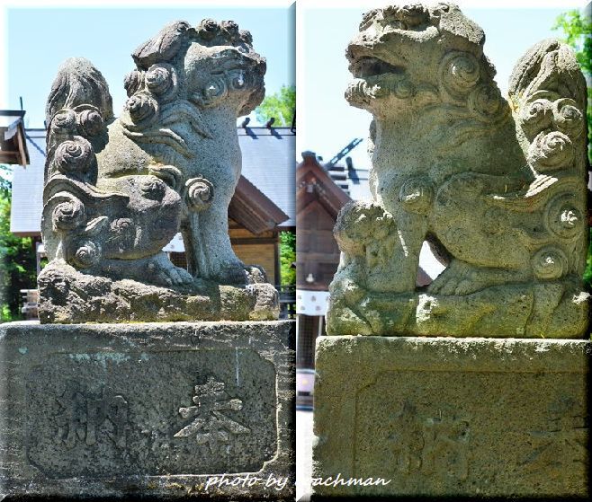 端野神社　狛犬　北見市_a0315942_20421910.jpg