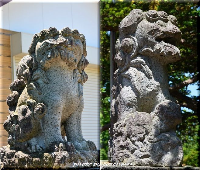 端野神社　狛犬　北見市_a0315942_20422323.jpg