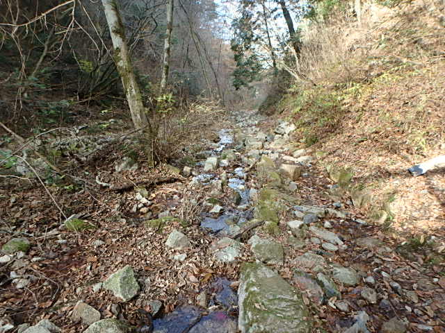 f0334143_19454770.jpg