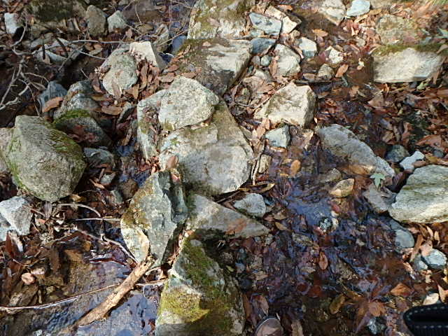 f0334143_19455760.jpg