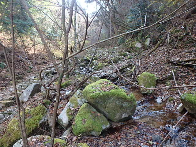 f0334143_1946940.jpg