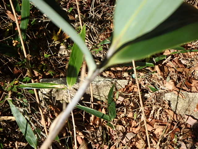 f0334143_19475917.jpg