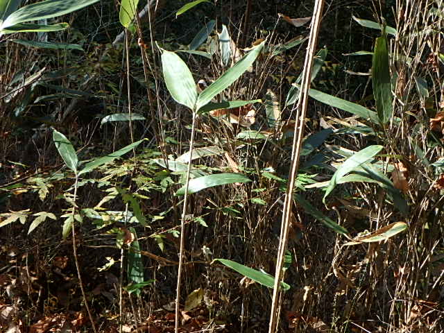 f0334143_19481810.jpg