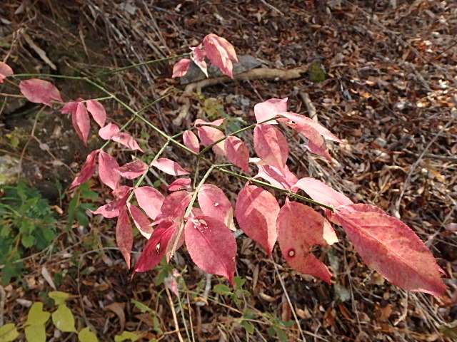f0334143_19482535.jpg