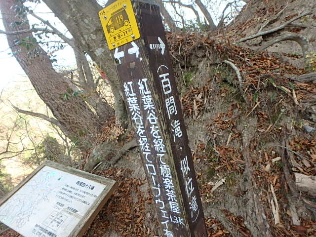 f0334143_19494847.jpg