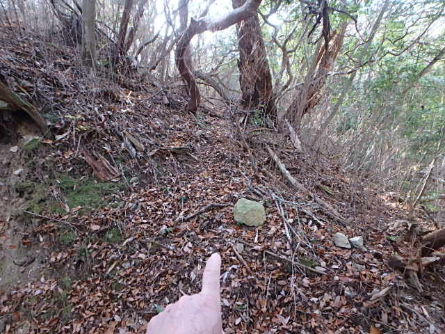 f0334143_1951313.jpg