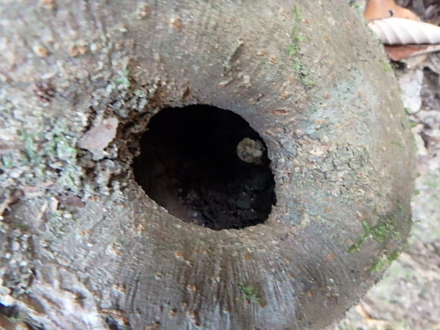 f0334143_19523730.jpg