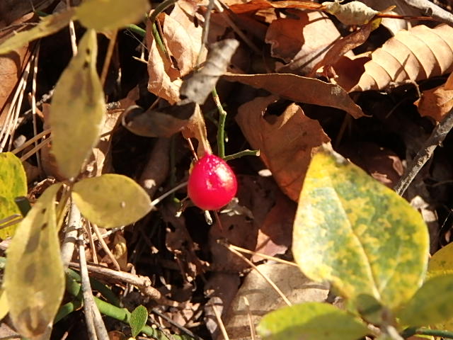 f0334143_19552128.jpg
