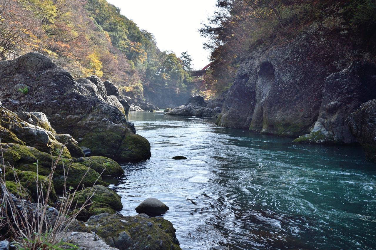c0246358_14405703.jpg