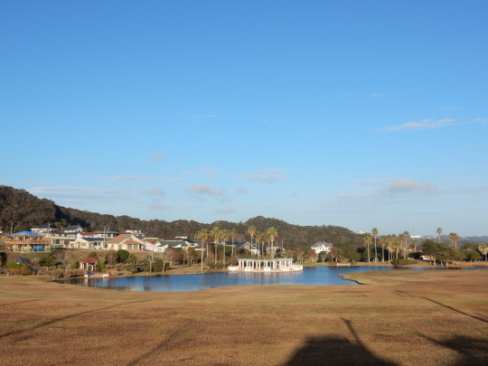 ’18,12,5(水)朝の楽しみと夜明けとおでん!_f0060461_06215524.jpg