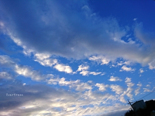 d0362666_11481857.jpg