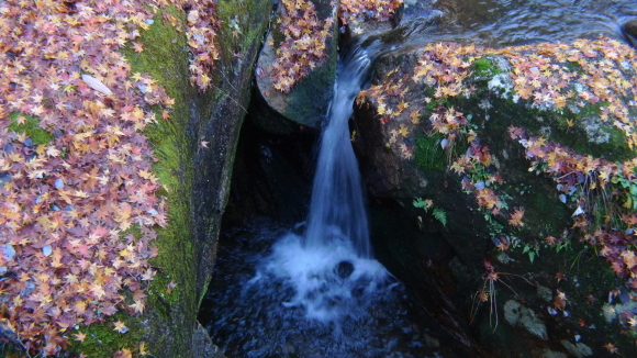 c0212083_18083994.jpg