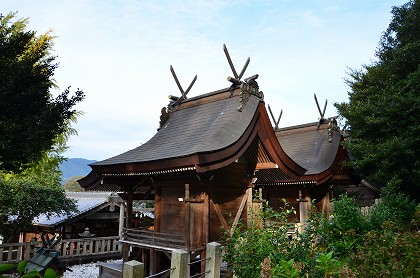 丹生酒殿神社　銀杏2018・11/18_c0229483_1235236.jpg