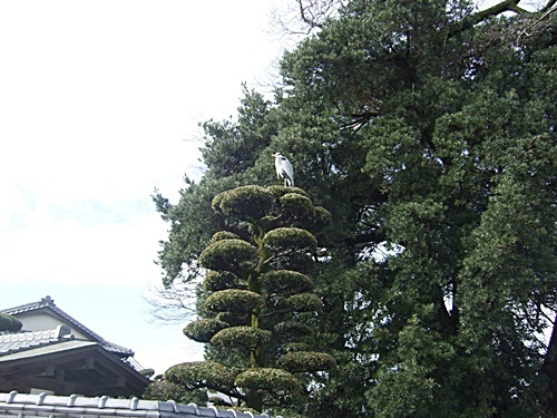e0086885_15504256.jpg
