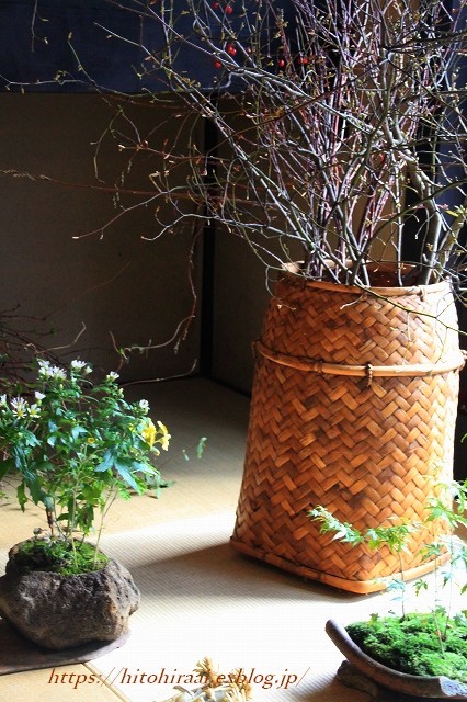 京都散策 花屋 みたて 暮らしを紡ぐ 京都散策 花屋 みたて 暮らしを紡ぐ