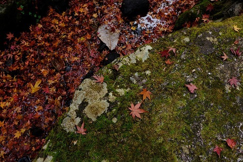 b0119493_00251108.jpg