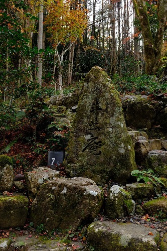 b0119493_00251156.jpg