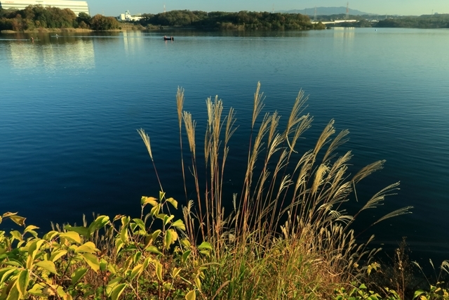 b0236595_09001137.jpg