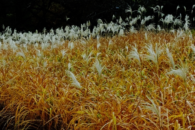 b0236595_09012562.jpg