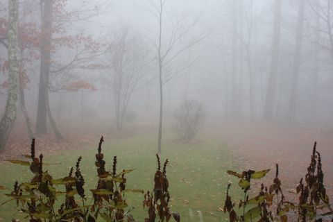 c0090198_17362076.jpg