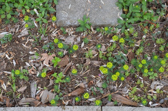 c0124100_14095672.jpg