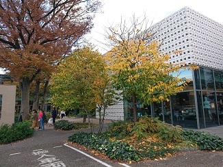 d0091909_15501245.jpg