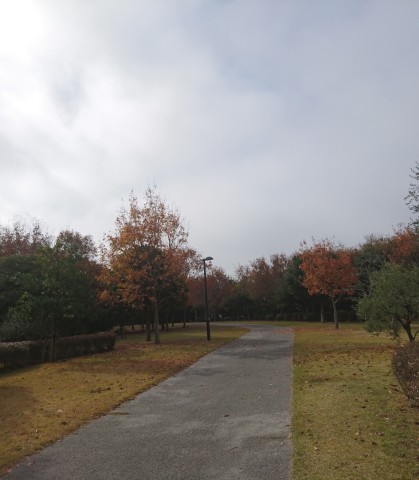 f0324510_20203484.jpg