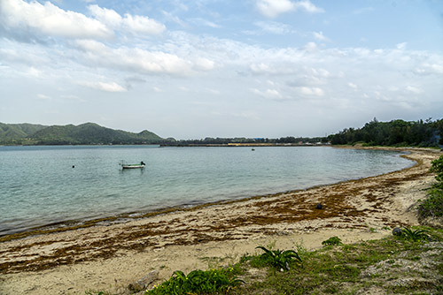 c0148812_08202756.jpg