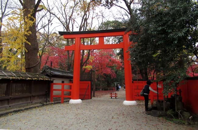 下賀茂神社と糺の森2_e0048413_16483149.jpg