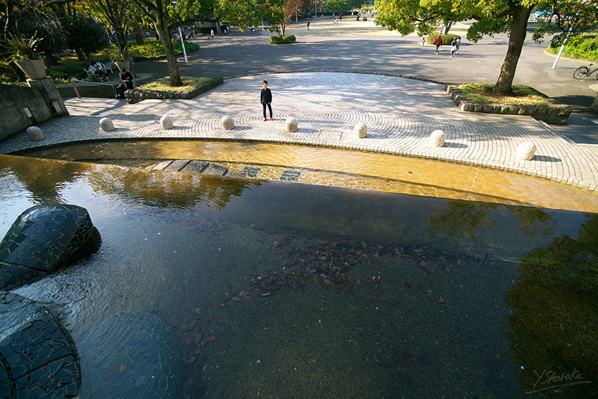 f0344614_13213334.jpg