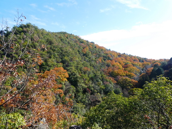 寂光院登山口から　継鹿尾山 (273M)  　登頂 編_d0170615_22145245.jpg