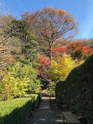 e0373815_12422034.jpg