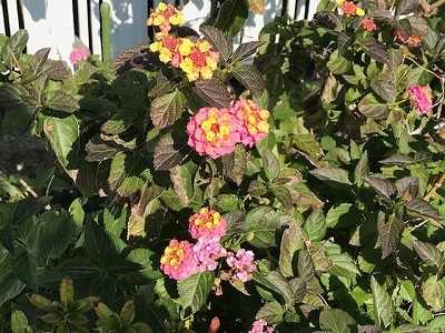 e0373815_13112831.jpg