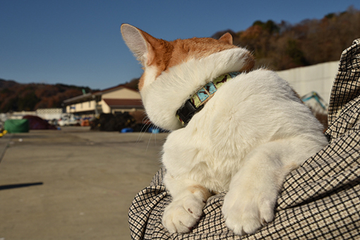 もう一度宮古_b0259218_03185729.jpg