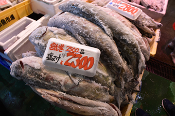 もう一度宮古_b0259218_04135691.jpg