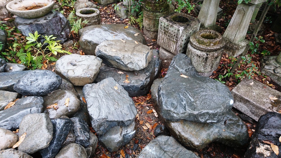f0183722_13545435.jpg
