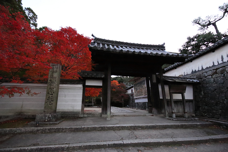 紅葉の京都2018 －一休寺へ－ _b0169330_22411031.jpg