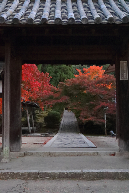 紅葉の京都2018 －一休寺へ－ _b0169330_7381179.jpg