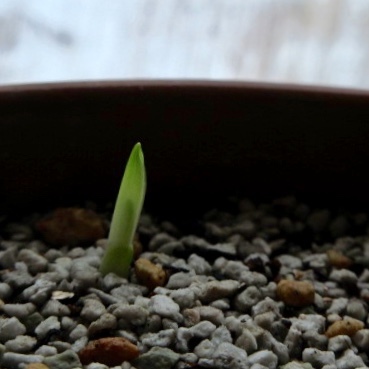 a0329935_12021240.jpeg