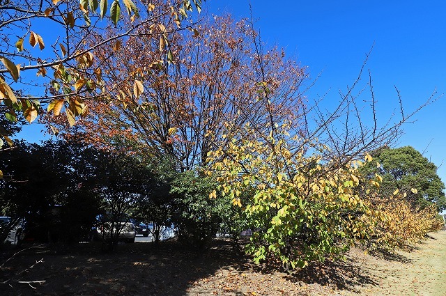 a0242438_21341150.jpg